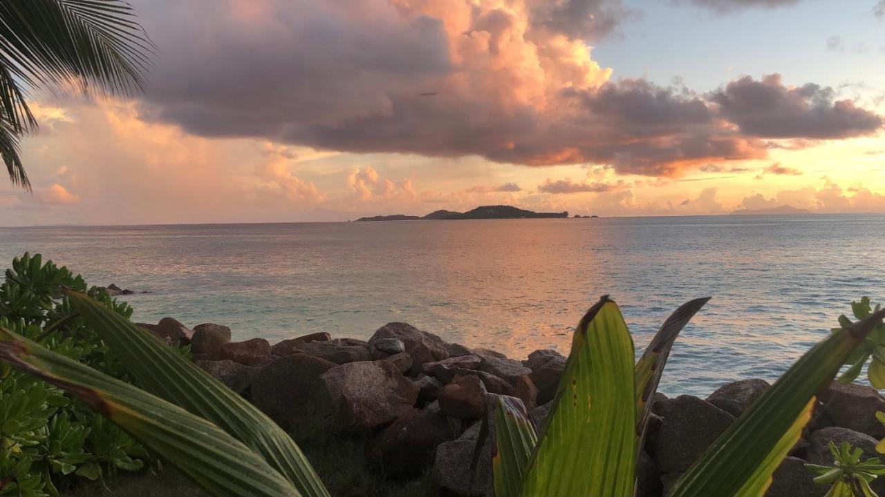 Sunset Cove Villa Grand Anse  Bagian luar foto
