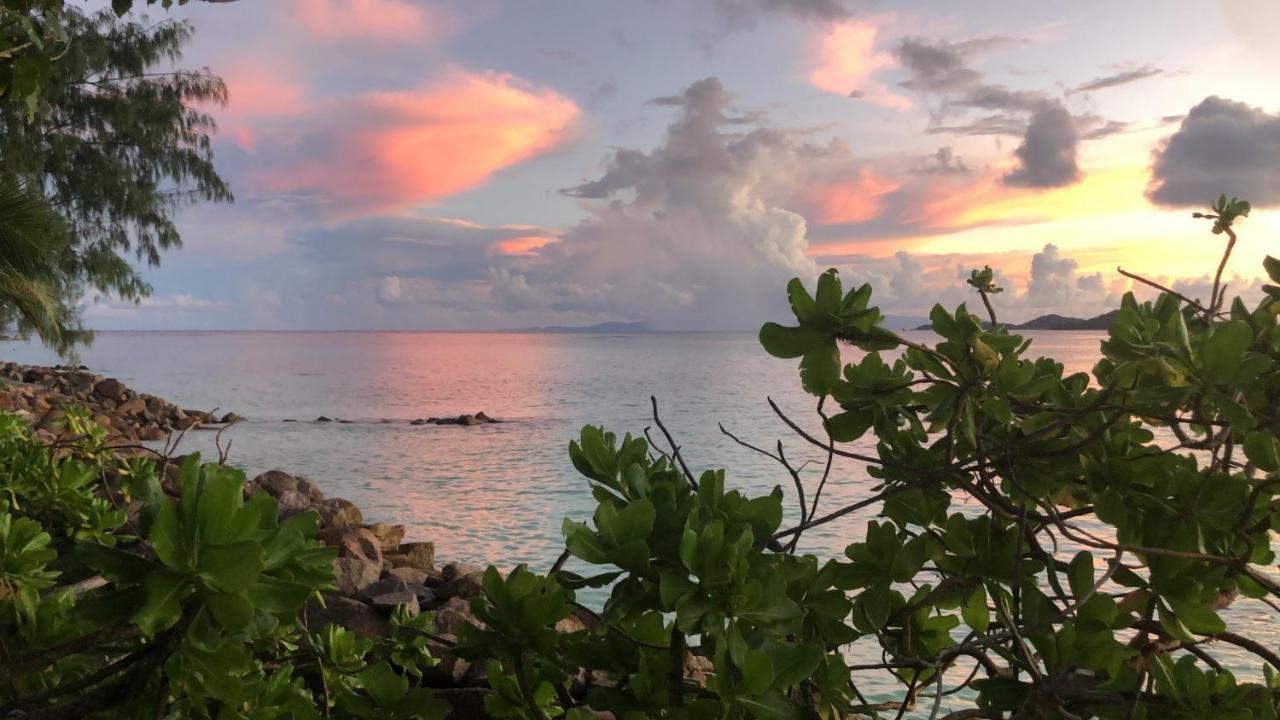 Sunset Cove Villa Grand Anse  Bagian luar foto